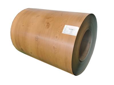 컬러 코팅 시트 크기